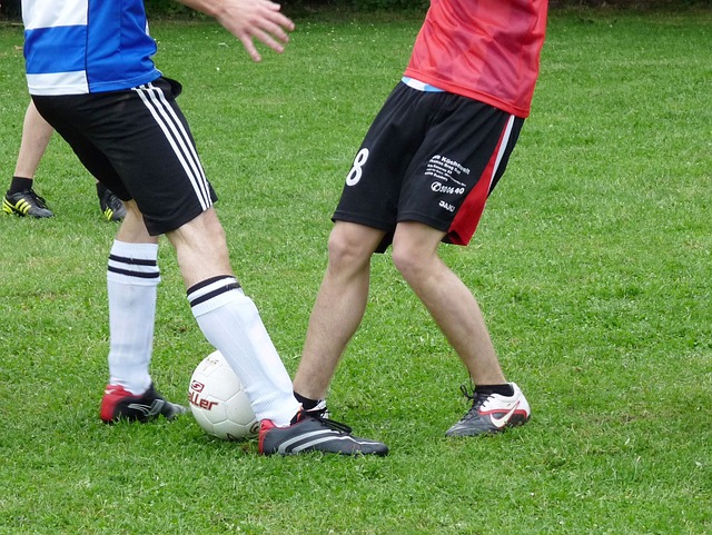 数据显示 数据显示