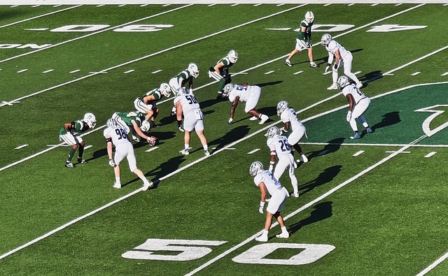 民族或政治 民族或政治